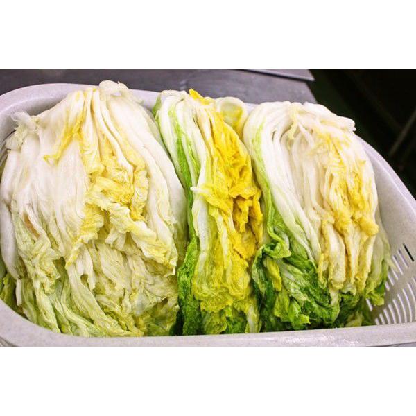 白菜キムチ 株漬け ポギ 辛さ控えめ 5００ｇ お試し1個限定 手作りキムチ専門店 フルーツキムチ 新鮮 発送日に製造完成 白菜 はくさい |  | 02