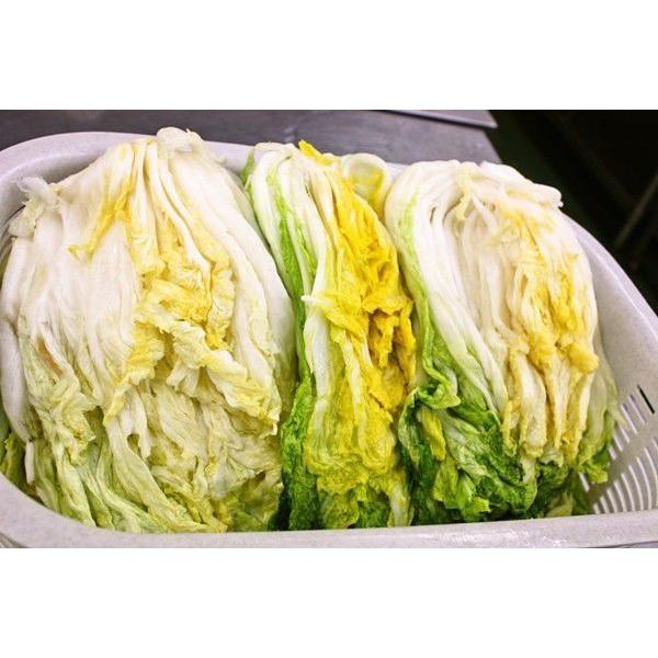 白菜キムチ ★おまけ付き 株漬け ポギ 1ｋｇ 辛さ控えめ 手作りキムチ専門店 フルーツキムチ  新鮮 発送日に製造完成 |  | 02