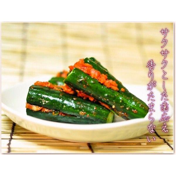 手作りキムチ専門店 フルーツキムチ オイキムチ きゅうりキムチ 辛さ控え 送料無料 当日発送可能 胡瓜キムチ 500ｇ 十字型
