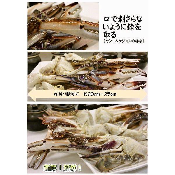 ケジャン カニ ヤンニョムケジャン 甘辛口 500g 割引中 ★今ならおまけ付き付き 無添加商品 信濃ケジャン 渡りカニ 生カニ 甘い新鮮な生カニを味付け 冷凍品|sinano|05