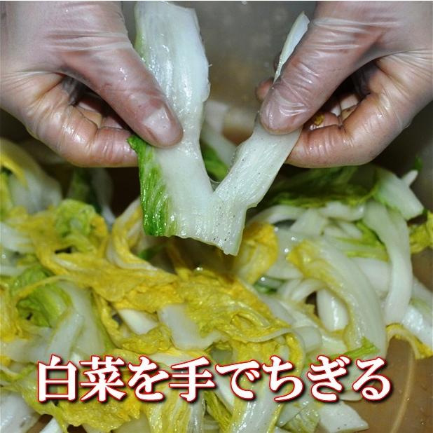 白菜キムチ 牡蠣入りキムチ 500ｇ 手作りキムチ専門店 フルーツキムチ 牡蠣 カキ 健康で新鮮な作り立てをお届致します |  | 02