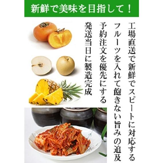 キムチの素 1ｋｇ 手作りキムチ専門店 信濃ソース 簡単白菜キムチの作り方掲載 プラ容器入り 濃厚な素 |  | 04