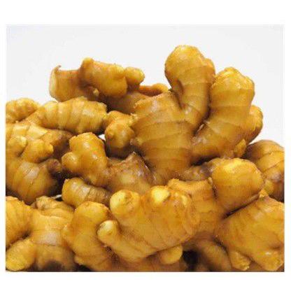 生姜ペースト なま生姜（100％）無添加 冷凍 中国産 1kg 業務用