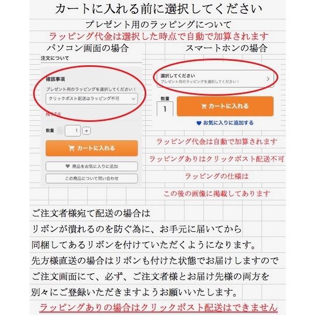 ・フェイラー バッグ 小 FEILER エターナルヒロイン 黒 ブラック ファイユシリーズ ポリエステル素材 プリント柄 ETHF-232041-BK｜sinanoya｜09