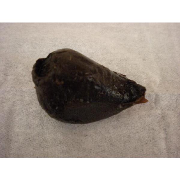 熟成黒にんにくカップ小 |  | 02