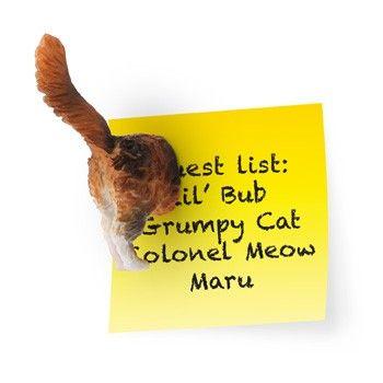 おもしろ 雑貨 おしゃれ Kikkerland キッカーランド キャットバットマグネット Cat Butt Magnets メール便ok Catbutt 腕時計アクセサリーのシンシア 通販 Yahoo ショッピング