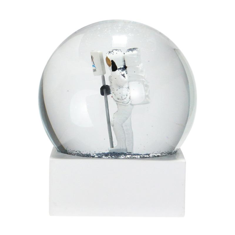 NASA Snow Globe ナサ スノー グローブ スノードーム インテリア 置物