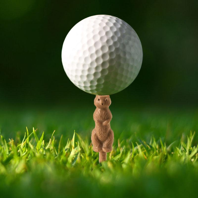 ゴルフティー ゴルフ用品 6本セット Gopher The Caddy Golf Tee