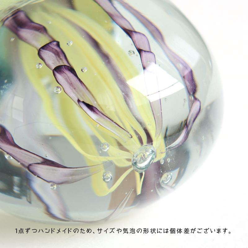 くらげページです♡ くらげ忍者 (@Kurageninja) / X