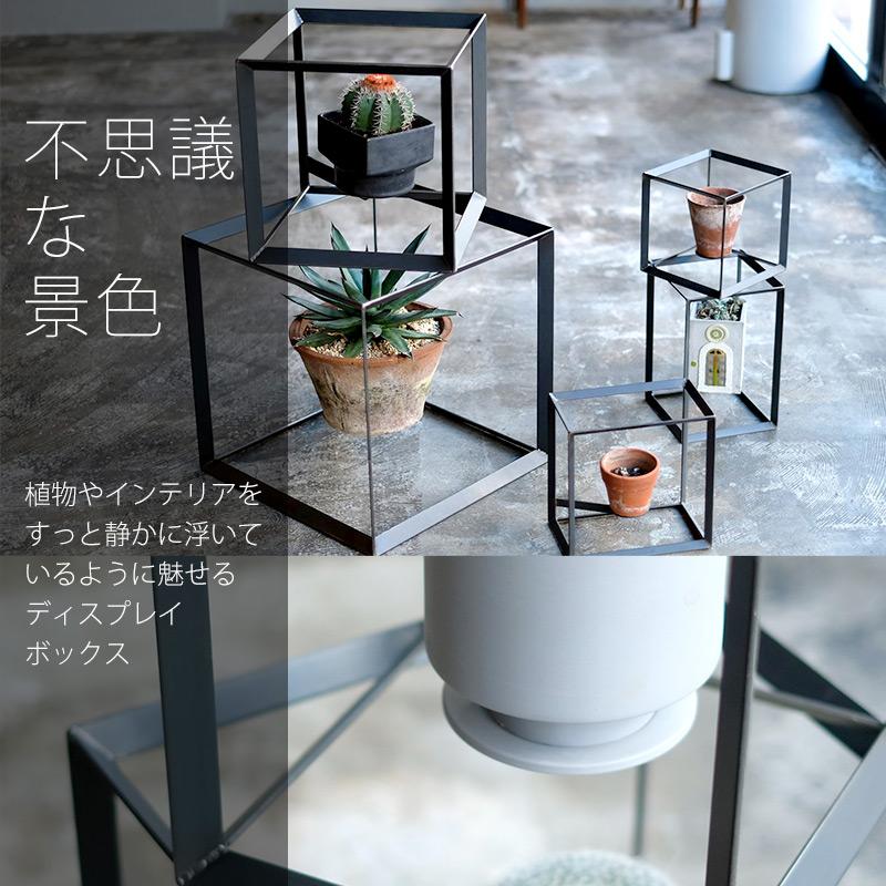 ディスプレイボックス プランタースタンド アイアン おしゃれ オッド キューブボックス [L] ODD CUBIC BOX プラントスタンド 観葉植物 植木 花｜sincere-inc｜02