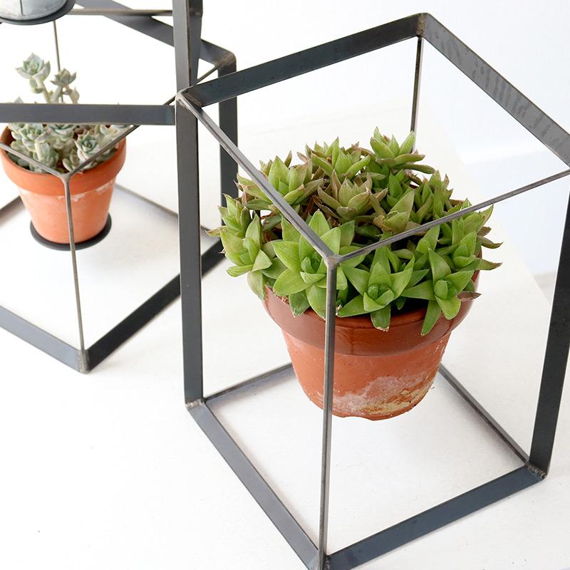 菩提樹木＋プラントボックススタンド