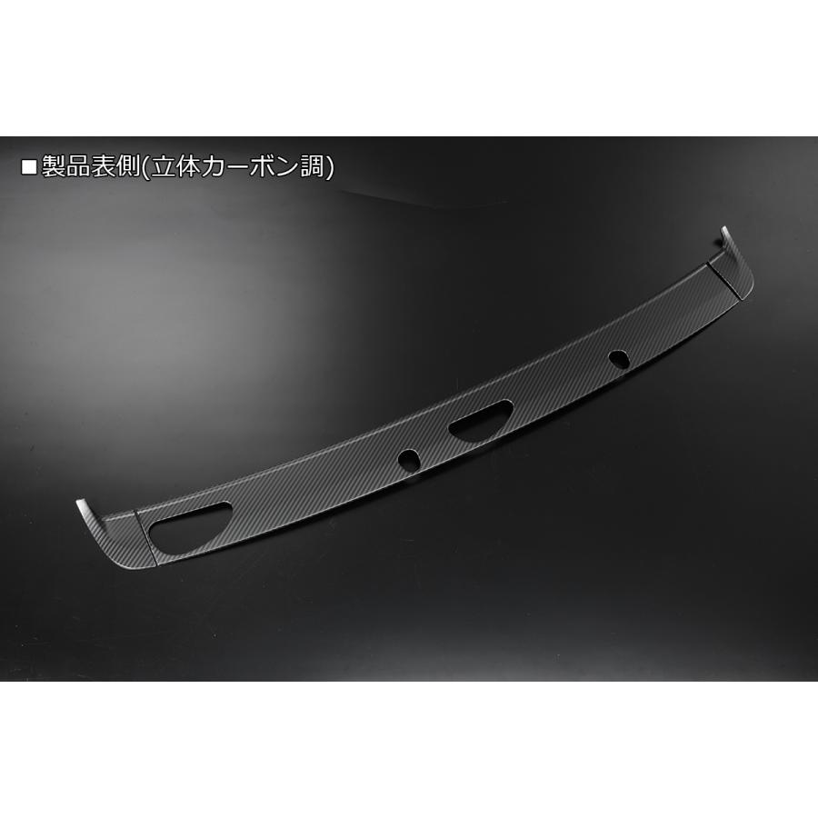 ライツ キャリィ スーパーキャリィ DA16T フードトリム カウルトップパネル 立体カーボン調 REIZ