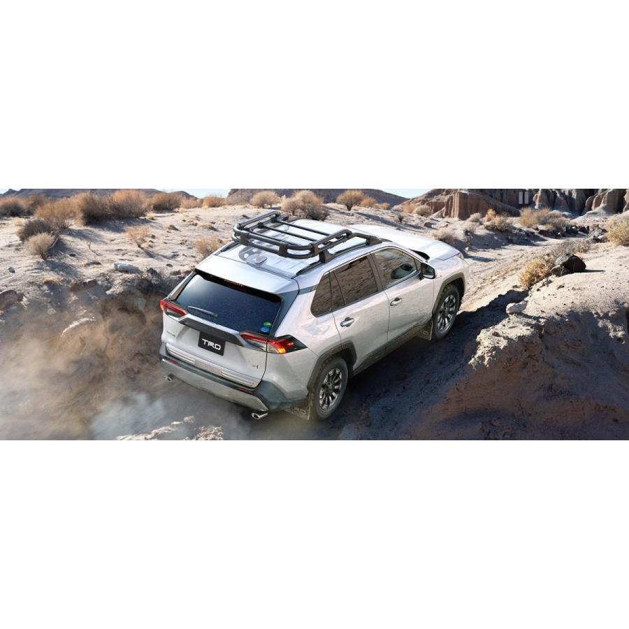TRD ティーアールディー RAV4 MXAA52 MXAA54 ルーフラック MS613-42001 