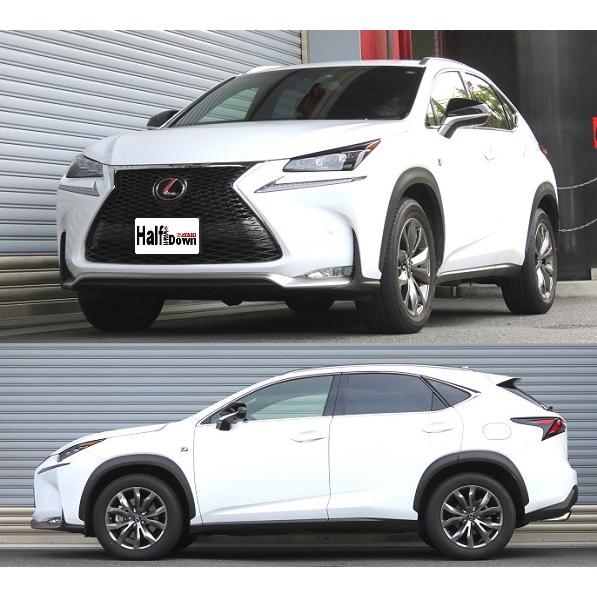RS-R レクサス NX200t AGZ10 ダウンサス スプリング フロントのみ T532THDF Ti2000 ハーフダウン RSR 個人宅発送追金有_1