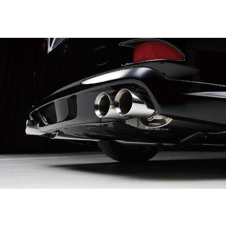 WALD EXECUTIVE LINE DTMスポーツマフラー WALD（ヴァルド） レクサス GSE20/21 前期/後期 D.T.Mスポーツマフラー