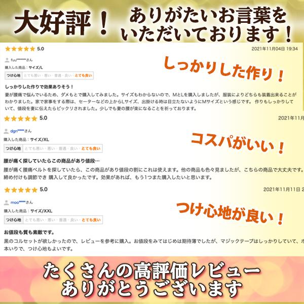 腰痛ベルト 腰用ベルト 医療用 スポーツ用 メッシュ 腰ベルト コルセット サポート 骨盤ベルト ヘルニア | ブランド登録なし | 01