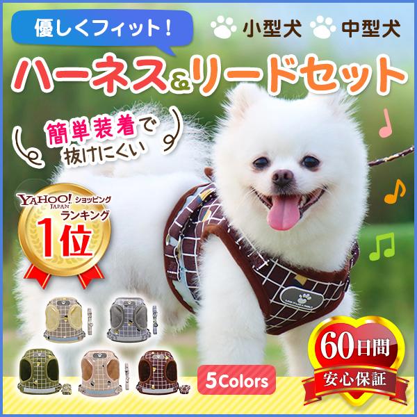 新入荷 ハーネス 犬 おしゃれ 脱げない ベルト 小型犬 リード付き 散歩 犬用 首輪 discoversvg.com 新入荷 ハーネス 犬 おしゃれ 脱げない ベルト 小型犬 リード付き 散歩 犬用 首輪 discoversvg.com