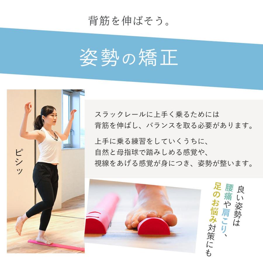 89【メディアで話題】 スラックレール コンパクト SLACK RAIL