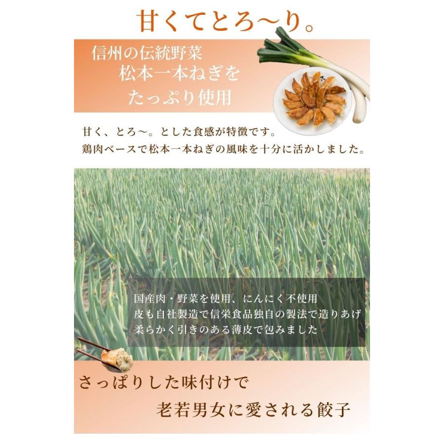 松本一本ねぎ 餃子 40個入/ 信州 伝統野菜 松本一本ねぎ を使ったギョーザ 信州 グルメ ご当地 お取り寄せ ニンニクなし 長野 松本 地産地商｜sinei-gyoza｜05