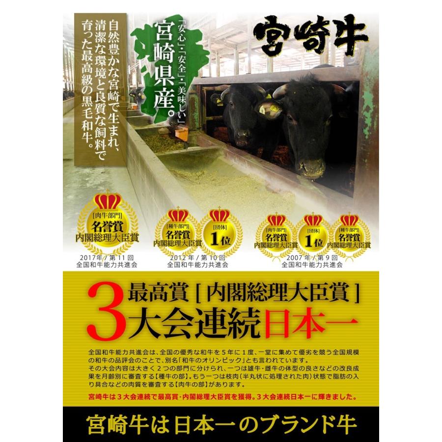 再再販 牛肉 宮崎牛 霜降り スライス 600g 希少部 位 ミスジ 含む 送料無料 簡易包装仕様 Materialworldblog Com