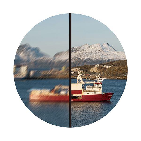 【値下げ・名盤】 SIRIUS 防振スコープ「シリウス10×25」 AIS-1-10x25 【2261092614】(13673円)