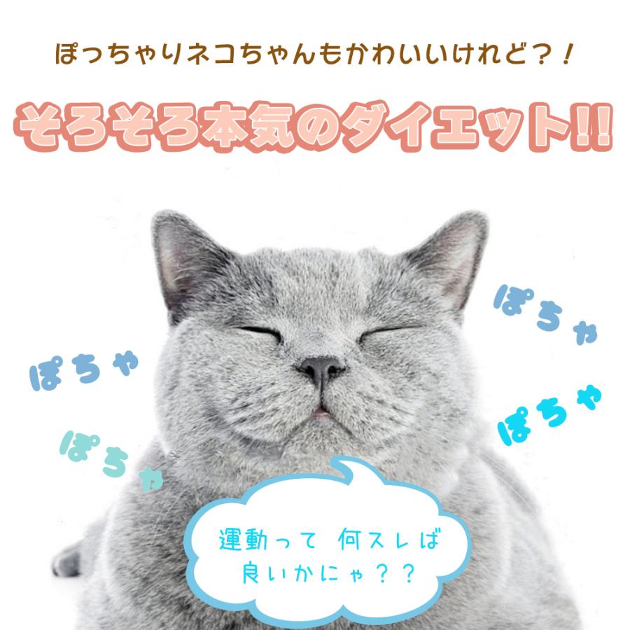 猫 ねこ ネコ 安全 おもちゃ 猫用おもちゃ 猫のおもちゃ ねこのおもちゃ  ボール ダイエット 運動 ストレス 嗅覚 キャットニップ またたび 自然素材 プレゼント |  | 06
