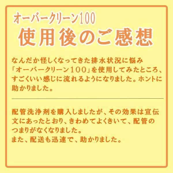 オーバークリーン１００　１ｋｇ 劇物　配管洗浄剤 強力パイプ洗浄剤 流し台排水口つまり、横浜油脂 リンダ　劇物譲受書のご提示が必要｜sinkaitekiya｜07