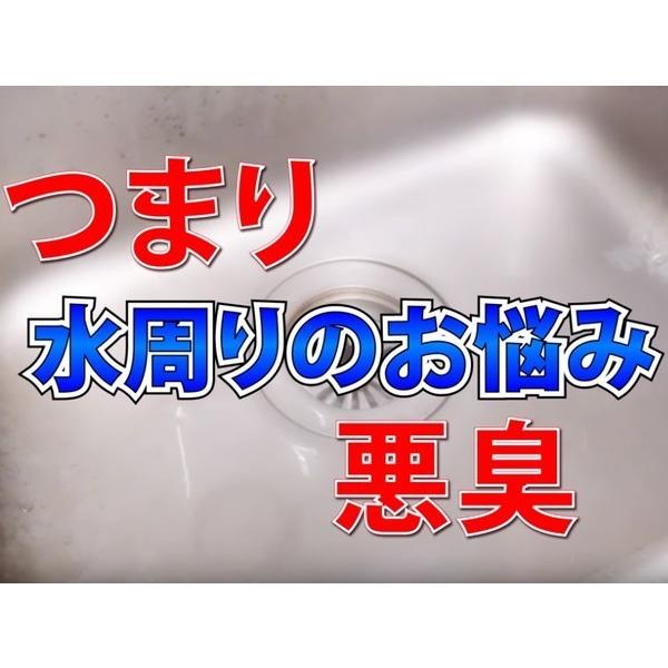 和協産業 ピーピースカット １リットル×12本 　排水パイプクリーナー 排水管の汚物除去 （沖縄県を除く）｜sinkaitekiya｜02