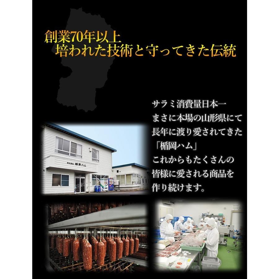 送料無料 匠のこだわり サラミ ジャーキー 5種の中から3種選べる 詰め合わせ おつまみ ビールのお供 ポイント消化 メール便 楯岡ハム 山形｜sinkaitekiya｜10