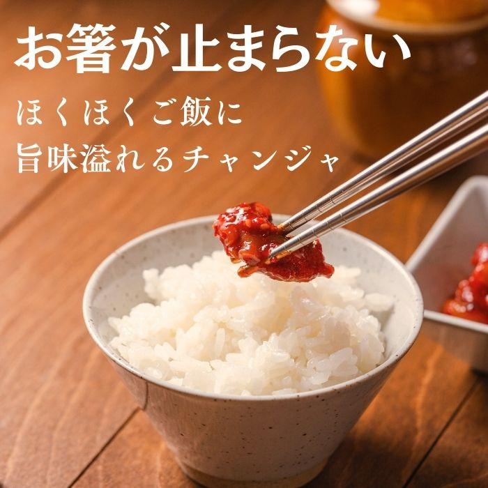韓国産　SALE お買い得　チャンジャ3点セット　（たら、たこ、いか）1㎏×3袋 チャンジャ 食べ比べ3点セット たらチャンジャ イカチャンジャ たこ