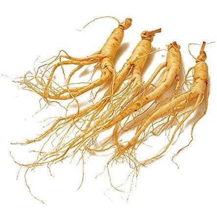 韓国産 高麗人参 200g 約 12〜20本 水参 (時期や場合により数の変わり  