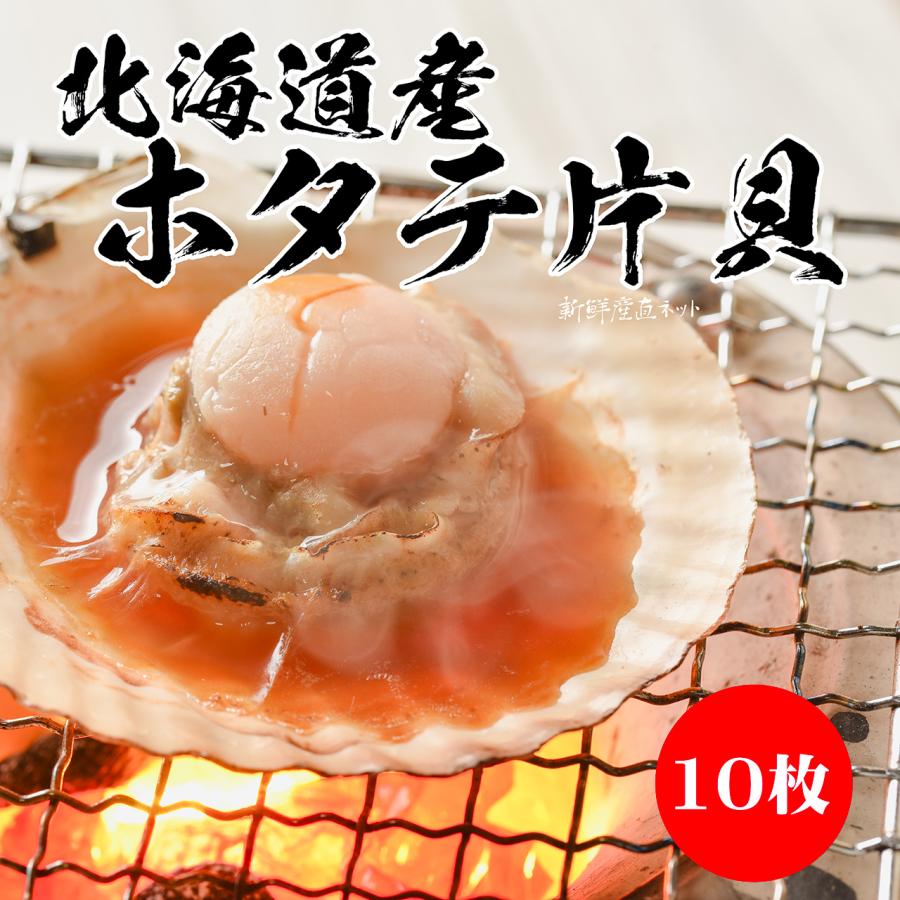 北海道産 産直特価！ほたて片貝 10枚（12-13cm）【冷凍】 : 新鮮産直