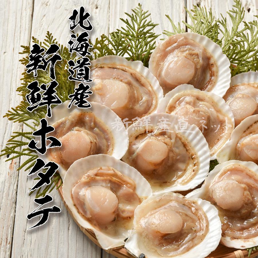 北海道産 産直特価！ほたて片貝 10枚（12-13cm）【冷凍】 : 新鮮産直
