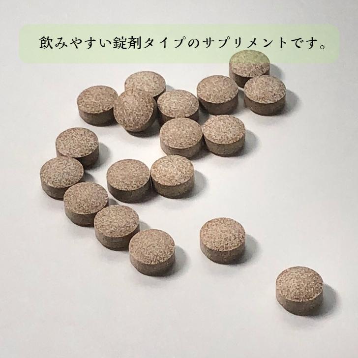 当社の アミノBio1袋 当社の アミノBio1袋