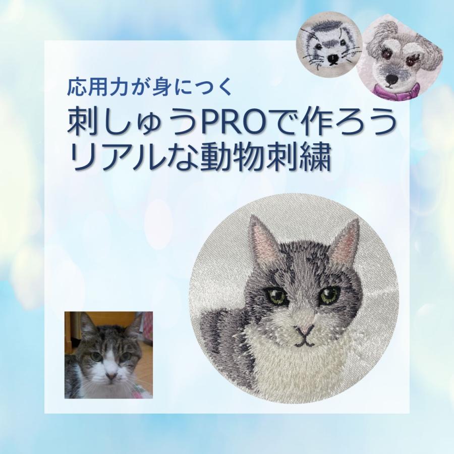 刺しゅうPROで作ろう！動物の毛並み刺繍 全3日間 : 刺繍工房エテ