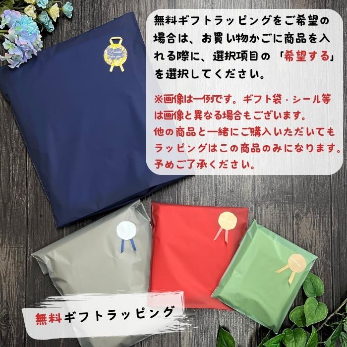 半袖シャツ ヘリーハンセン HOE42640 ショートスリーブプリンテッドバスクシャツ［メンズ］［半袖シャツ］ メール便配送(ポスト投函)  2026春夏の画像