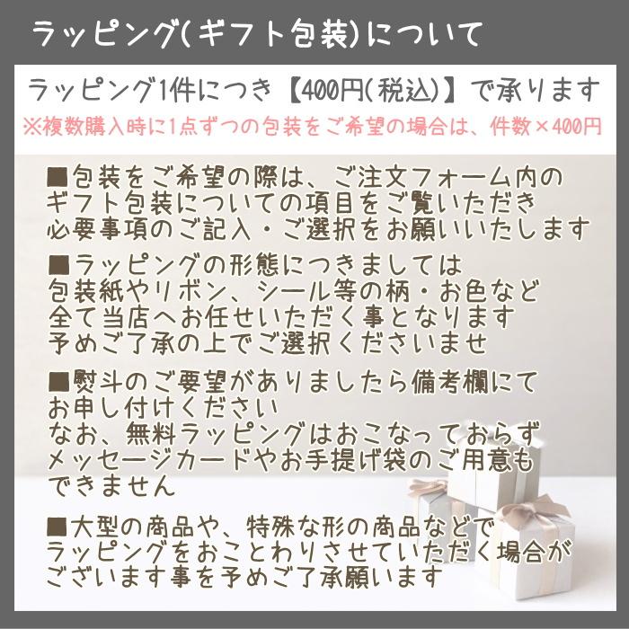 THE NORTH FACE ザ・ノース・フェイス NTW12262・NBW32262 THE NORTH FACE ザ・ノース・フェイス NTW12262・NBW32262