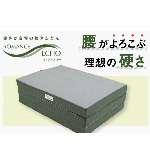 ロマンスエコー 敷布団 ロマンス小杉 腰痛 硬い敷きふとん 硬いマットレス シングル ヘルスケ認定寝具_12