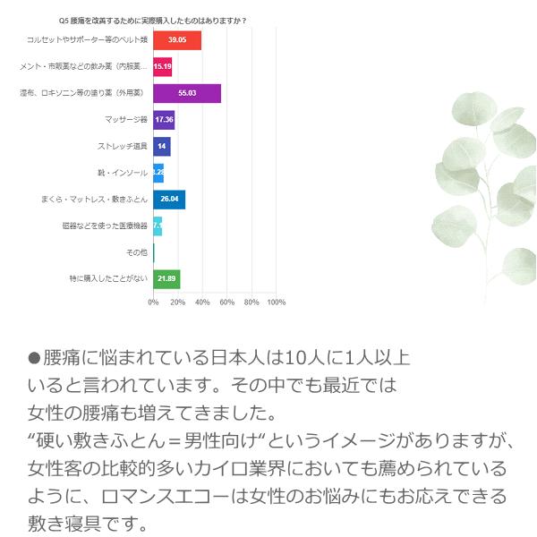 ロマンスエコー 敷布団 ロマンス小杉 腰痛 硬い敷きふとん 硬いマットレス シングル ヘルスケ認定寝具_3