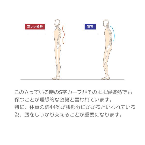 ロマンスエコー 敷布団 ロマンス小杉 腰痛 硬い敷きふとん 硬いマットレス シングル ヘルスケ認定寝具_5