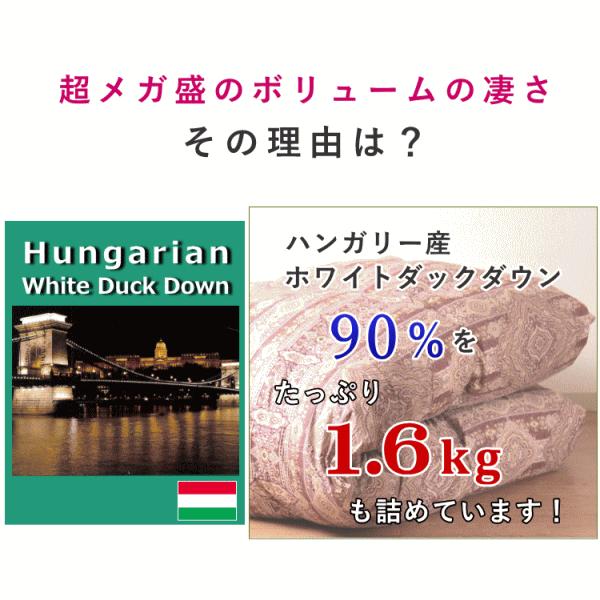 羽毛布団 超メガ盛 シングル ハンガリー産ホワイトダックダウン90％ 1.6kg 2層キルト 寒冷地仕様｜sinten｜07