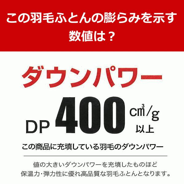 羽毛布団 シングル ハンガリー産マザーダックダウン93％ 1.0kg ダウン