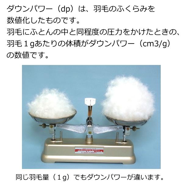 羽毛布団 シングル ハンガリー産マザーダックダウン93％ 1.0kg ダウン