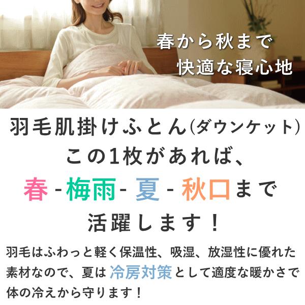 西川（nishikawa） 羽毛 肌掛けふとん シングル ウェッジウッド 日本製