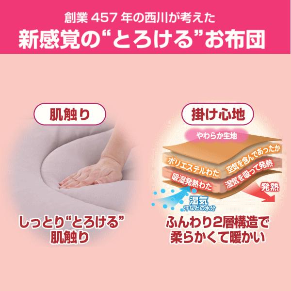 西川（nishikawa） 【50％OFF昨年持ち越し分の為】西川 合繊掛け布団