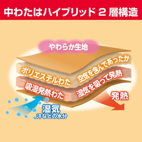 西川（nishikawa） 【50％OFF昨年持ち越し分の為】西川 合繊掛け布団