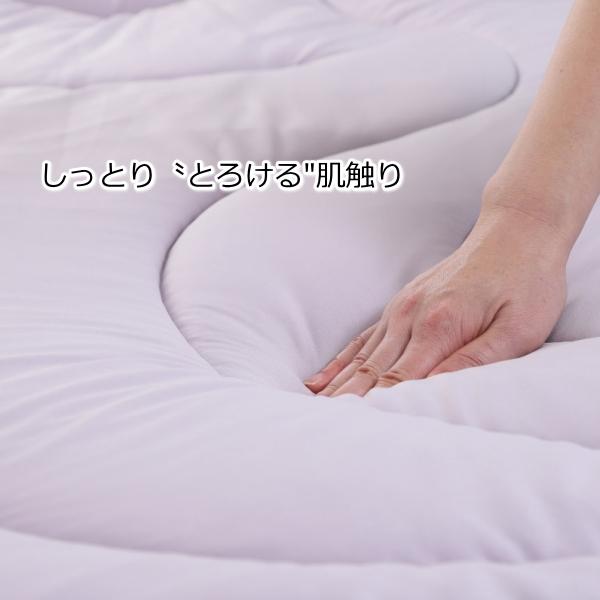 西川（nishikawa） 【50％OFF昨年持ち越し分の為】西川 合繊掛け布団