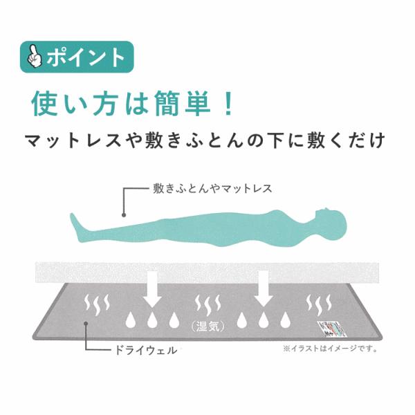 西川 除湿シート シングル 洗える 西川 新ドライウェル 折りたためる モイスファイン45％配合 抗菌防臭 SEK CM03106001｜sinten｜04