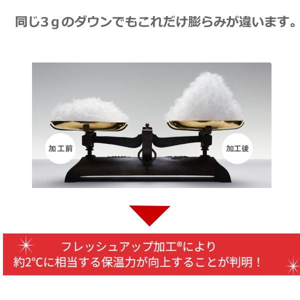 西川 羽毛布団 シングル ハンガリー産マザーグース93％ 1,1kg あったか