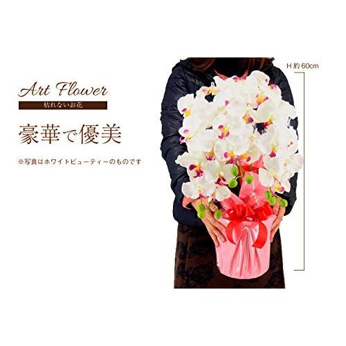 売れ筋がひ贈り物 胡蝶蘭 造花 アーティフィシャルフラワー 神戸花物語 3本立ち H60cm W45cm Cotyoran 3 Lv Ct触媒加工 ラベンダー 鮭惣菜 加工品 Portalcultura Net Br